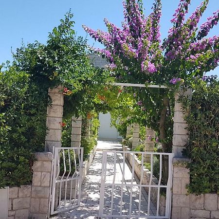 Apartman Lucija Korčula Exteriér fotografie