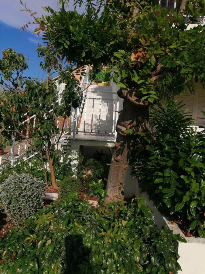 Apartman Lucija Korčula Exteriér fotografie
