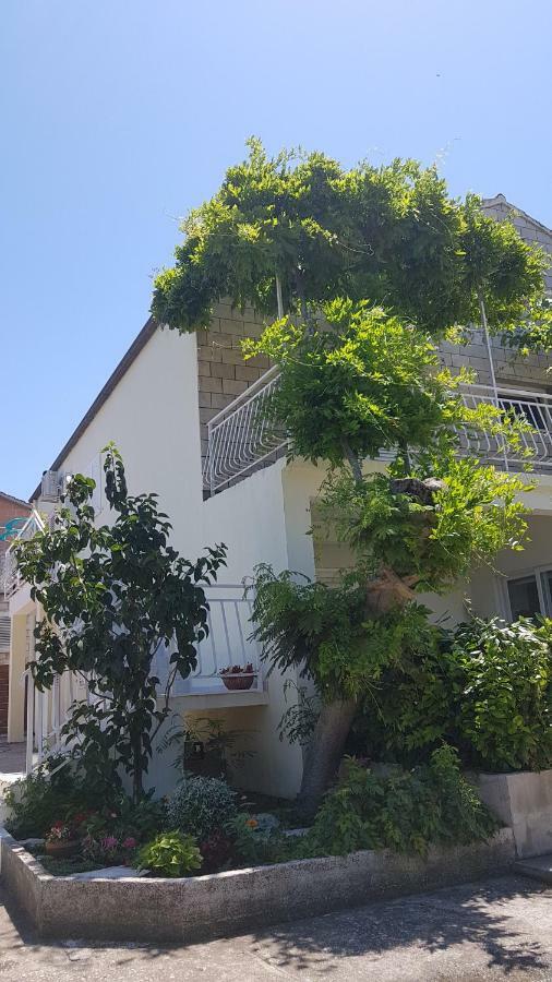 Apartman Lucija Korčula Exteriér fotografie