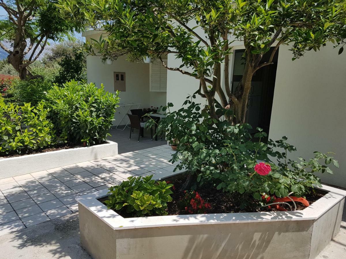 Apartman Lucija Korčula Exteriér fotografie