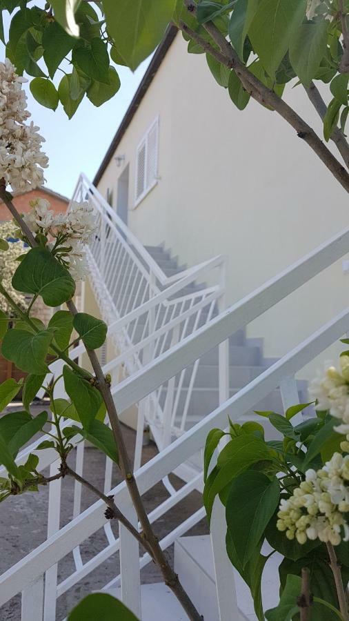 Apartman Lucija Korčula Exteriér fotografie