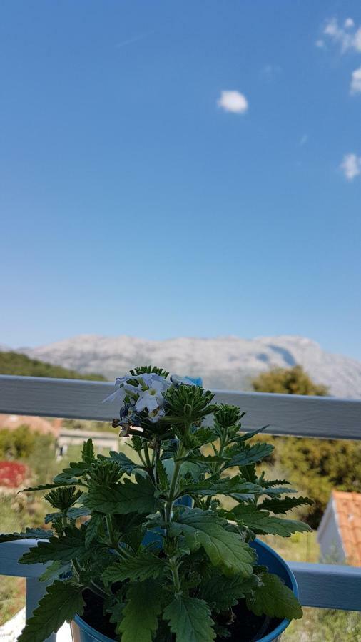 Apartman Lucija Korčula Exteriér fotografie