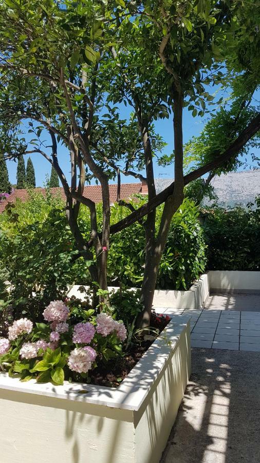 Apartman Lucija Korčula Exteriér fotografie